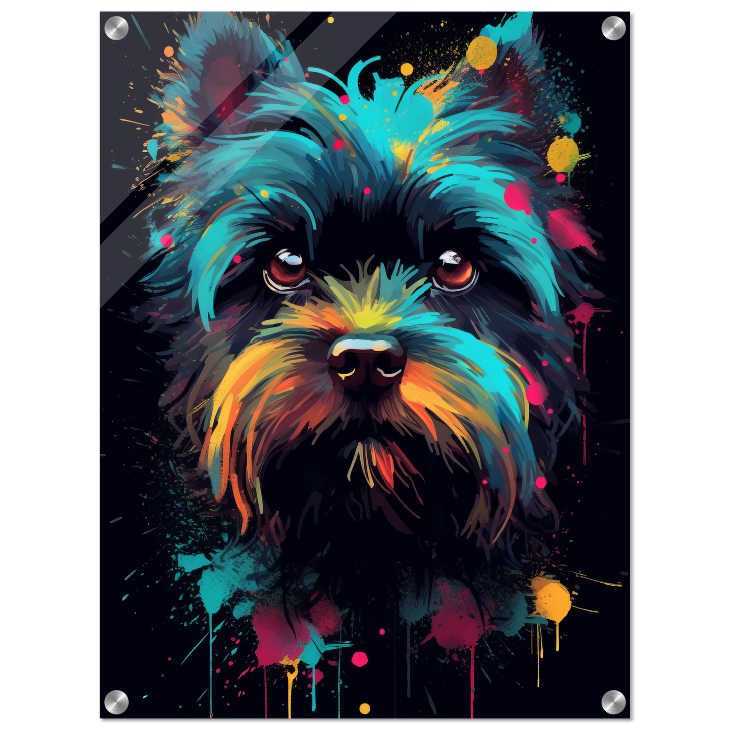 Monkey pinscher / Affenpinscher pop art (DOG268)
