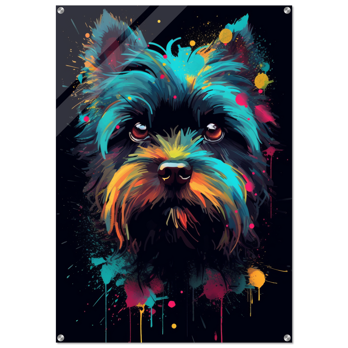 Monkey pinscher / Affenpinscher pop art (DOG268)