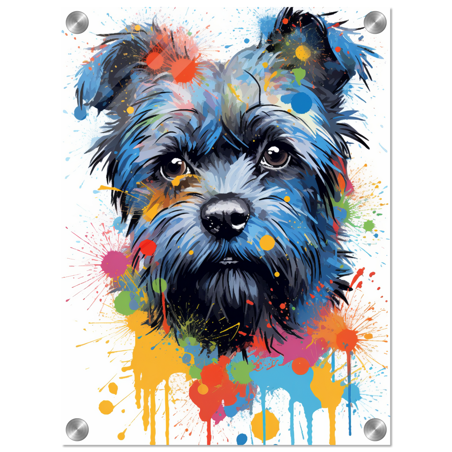 Monkey pinscher / Affenpinscher pop art (DOG269)