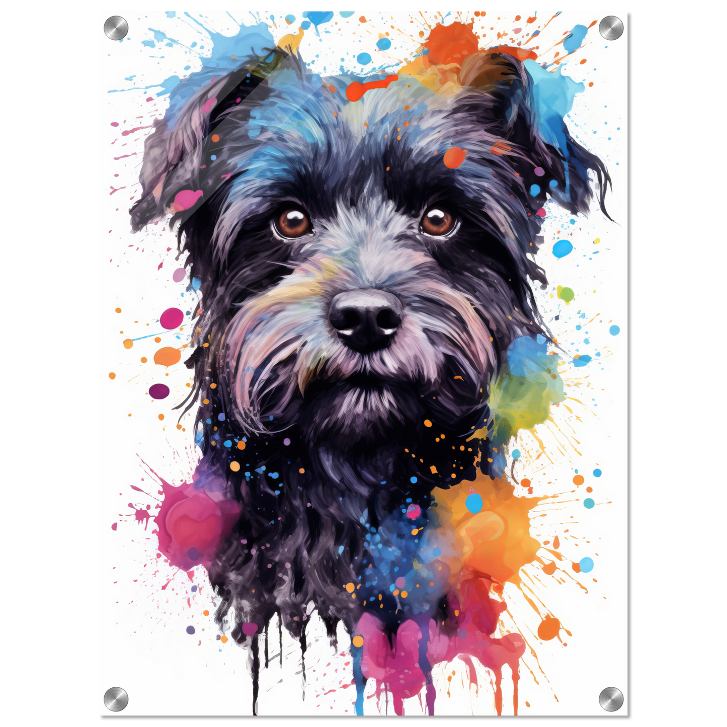 Monkey pinscher / Affenpinscher pop art (DOG272)