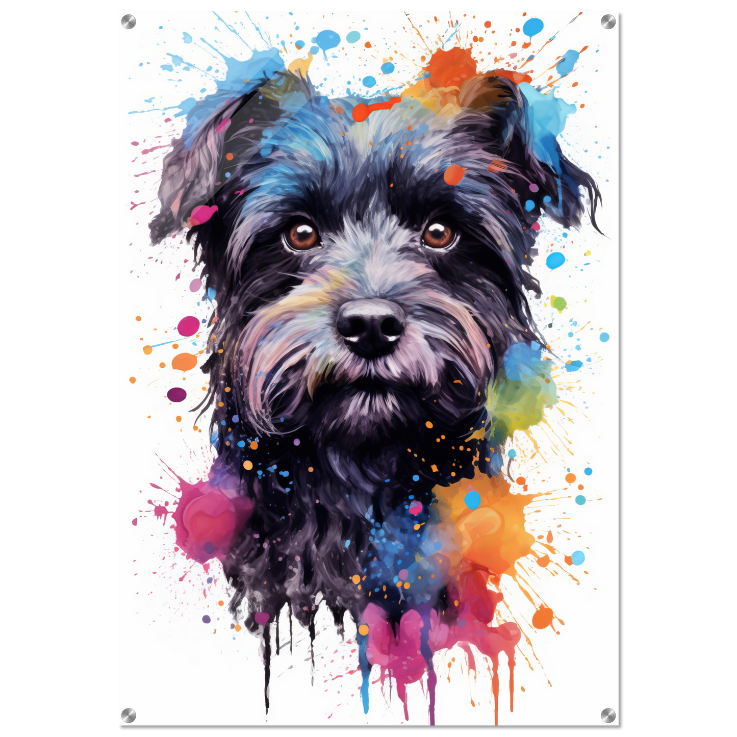 Monkey pinscher / Affenpinscher pop art (DOG272)