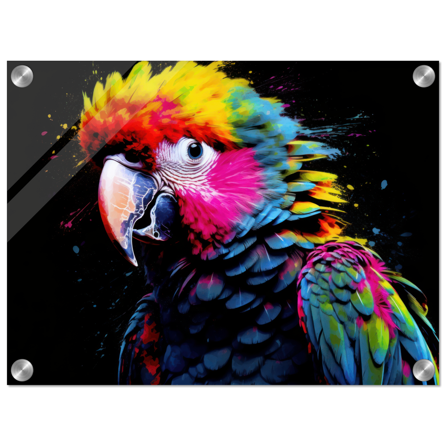 Parrot pop art (BIRD47)
