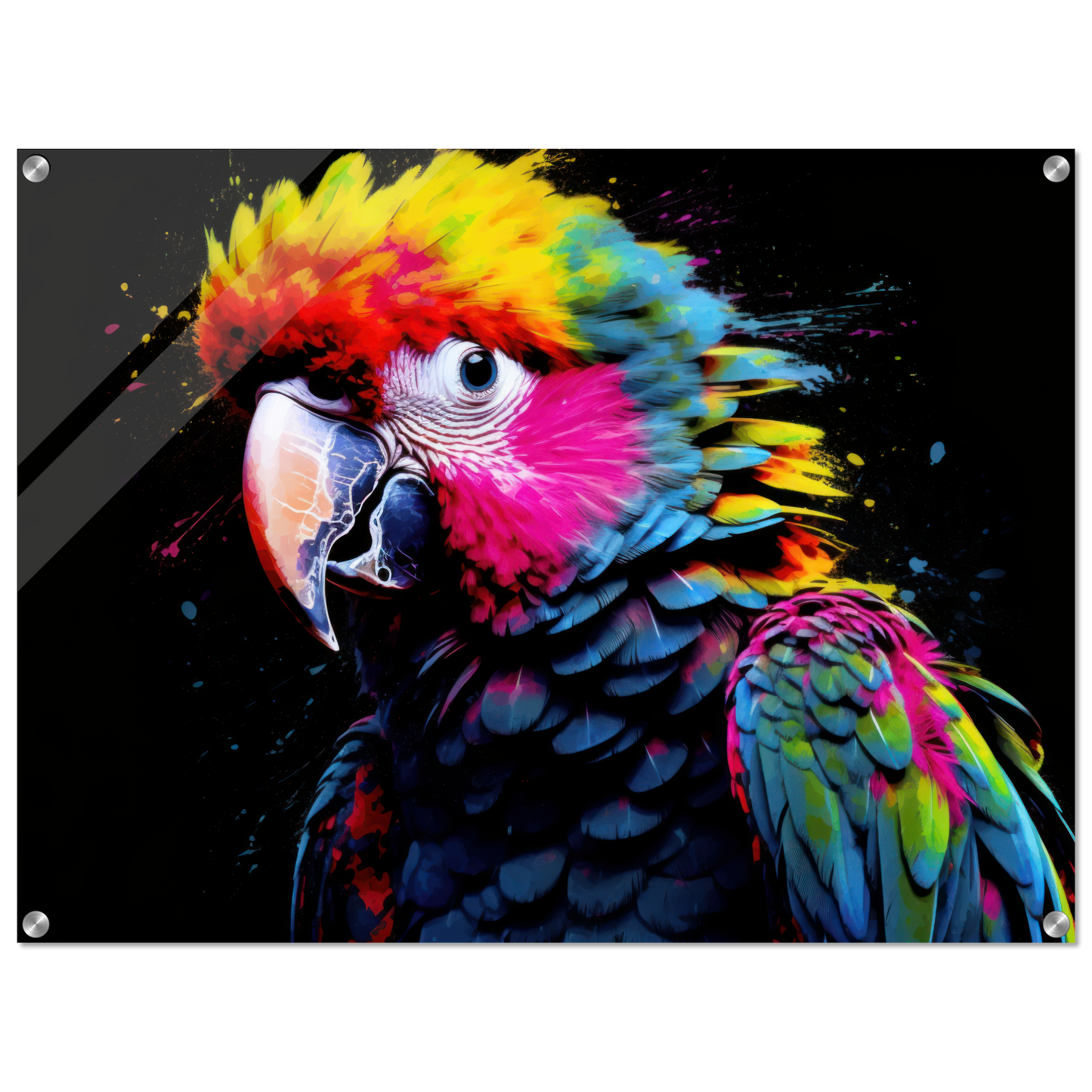 Parrot pop art (BIRD47)