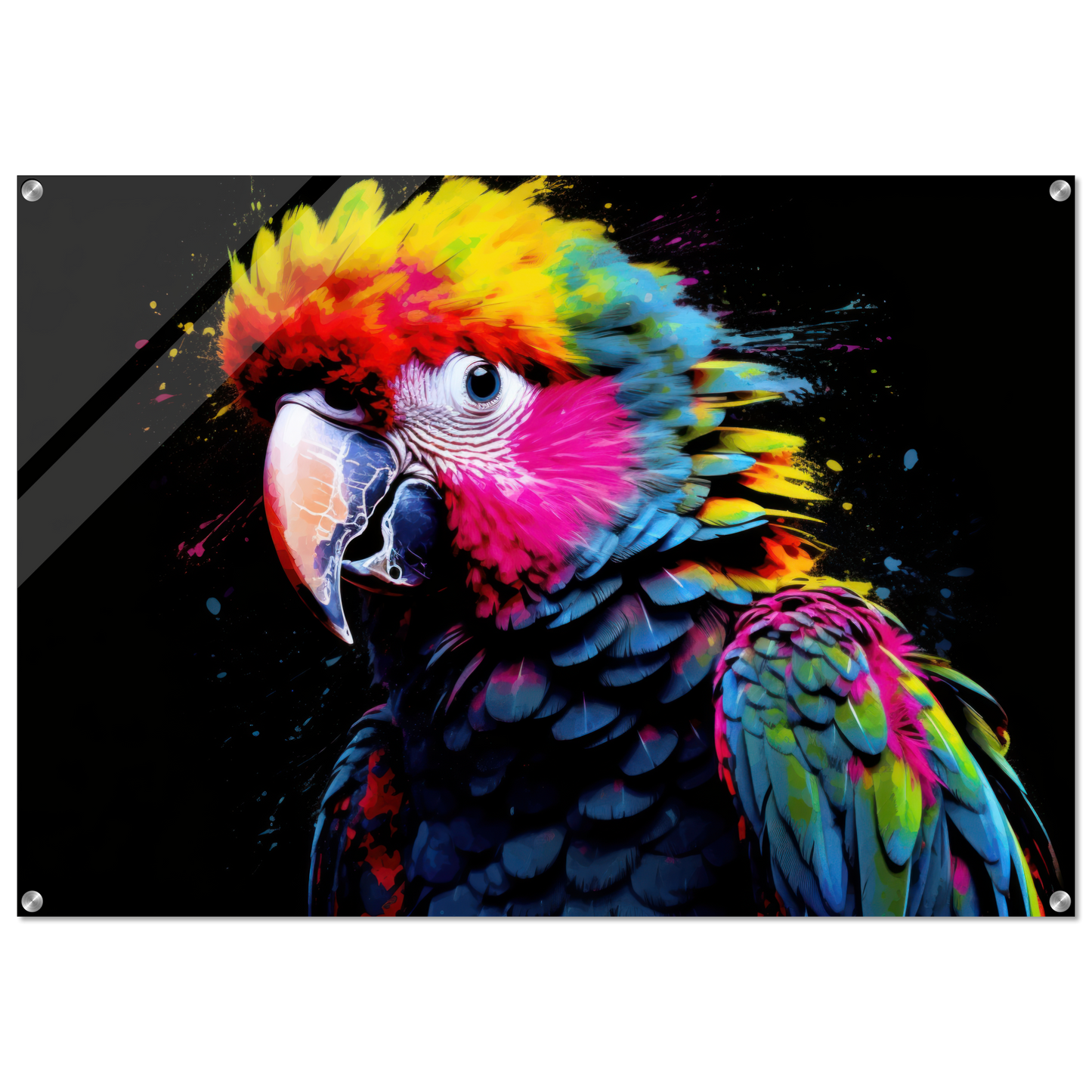 Parrot pop art (BIRD47)