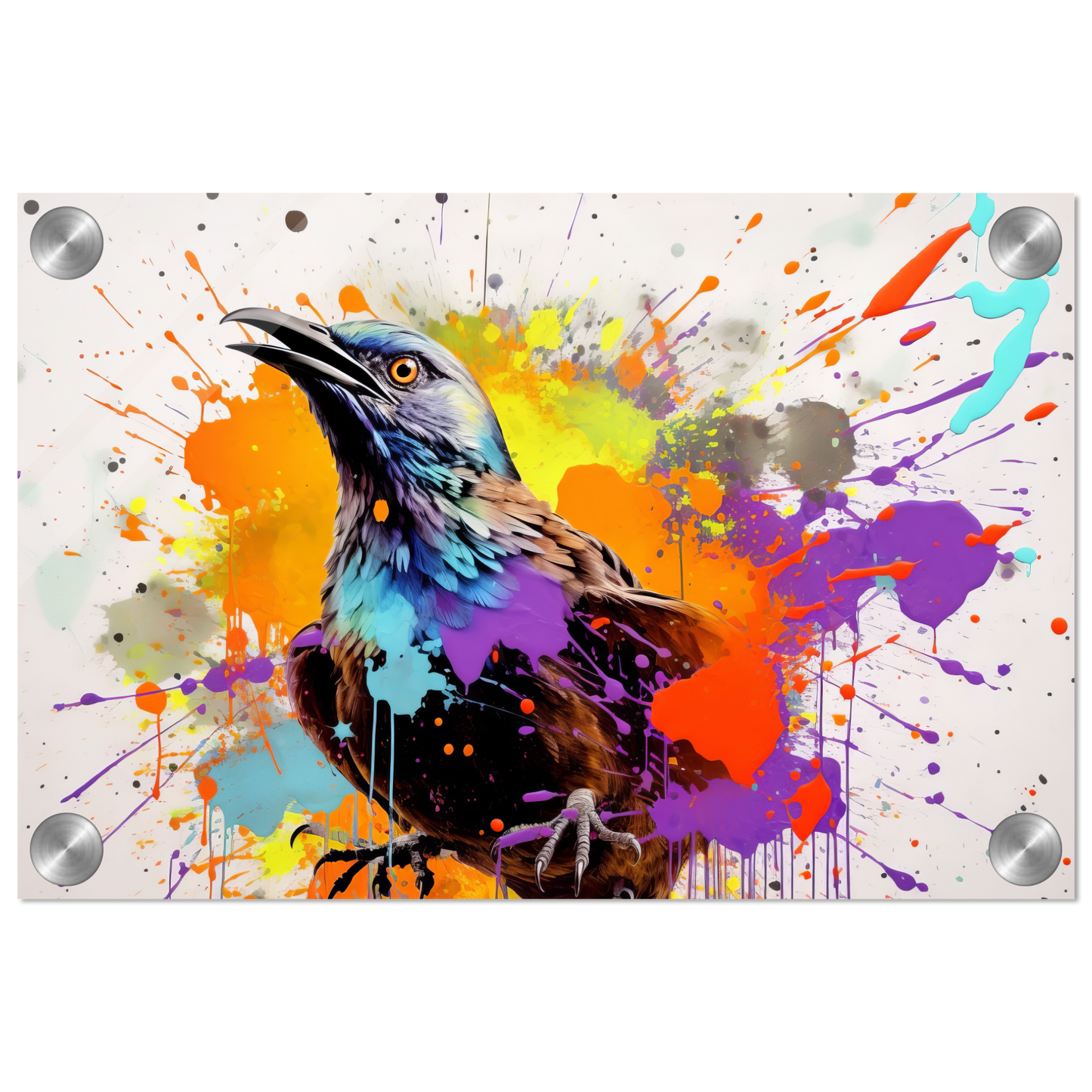 Harpyie Pop-Art (BIRD59)
