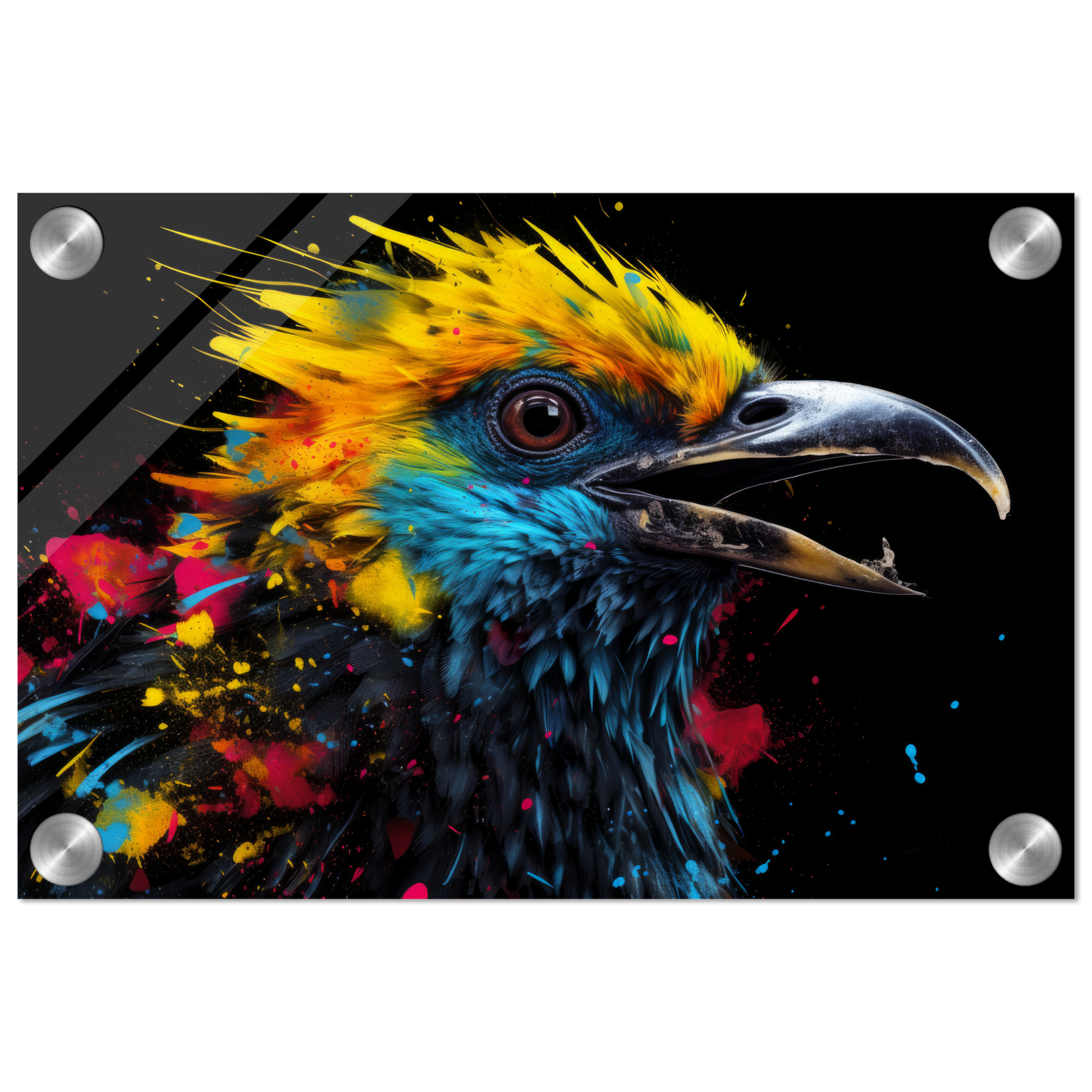 Harpyie Pop-Art (BIRD61)