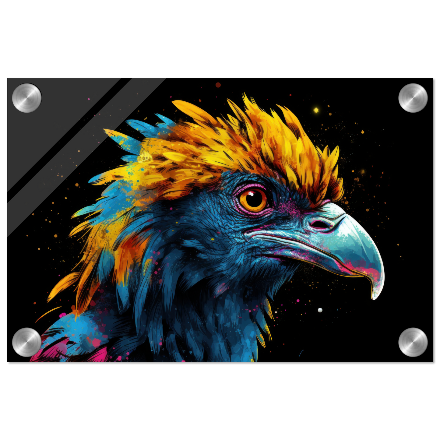Harpyie Pop-Art (BIRD62)
