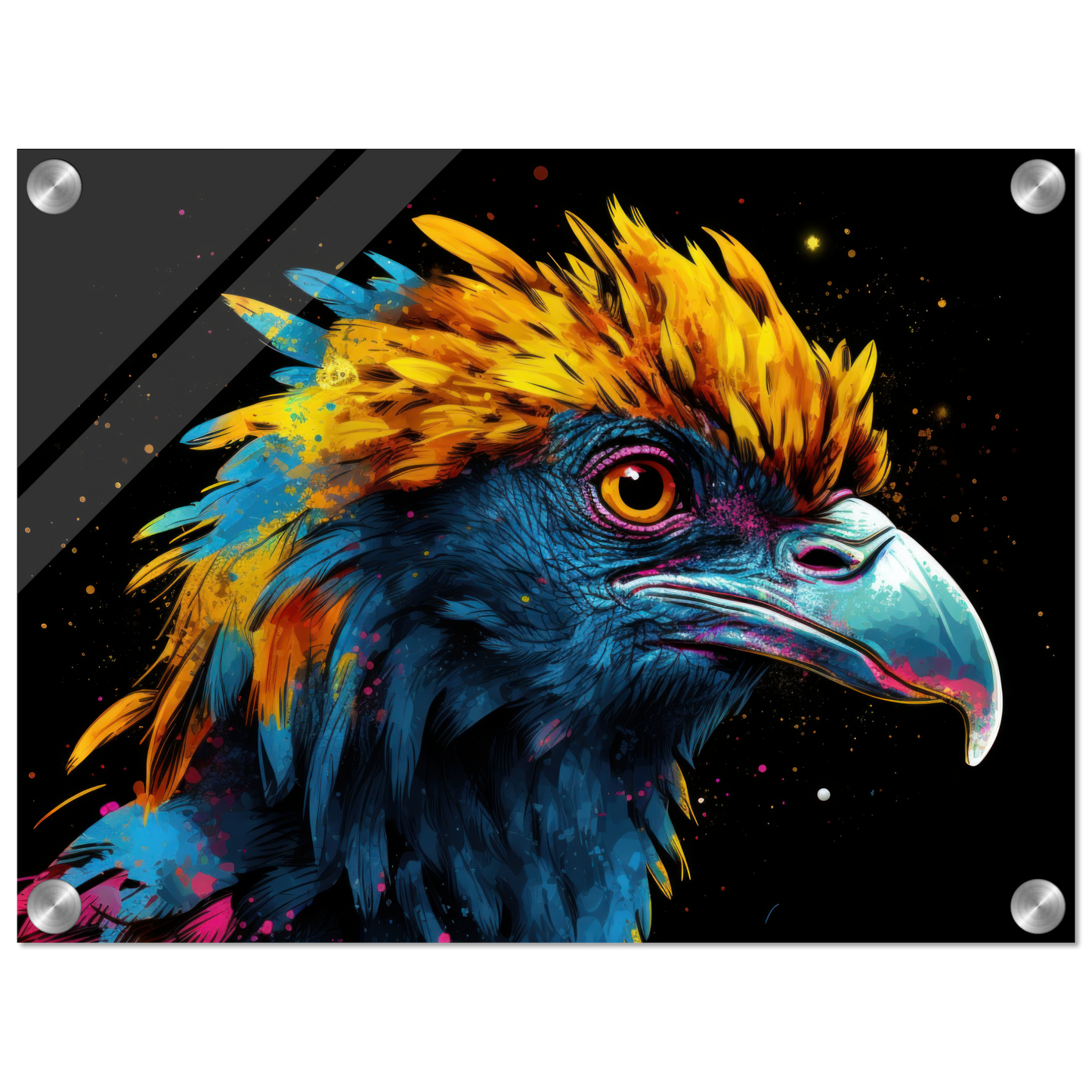 Harpyie Pop-Art (BIRD62)