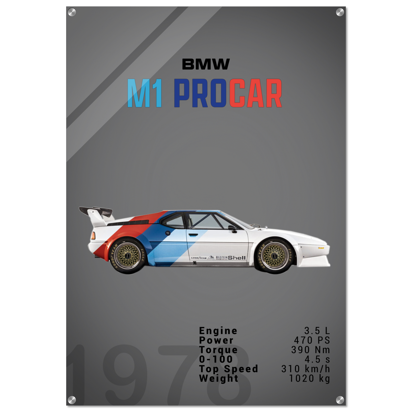 M1 ProCar (BMW10D)