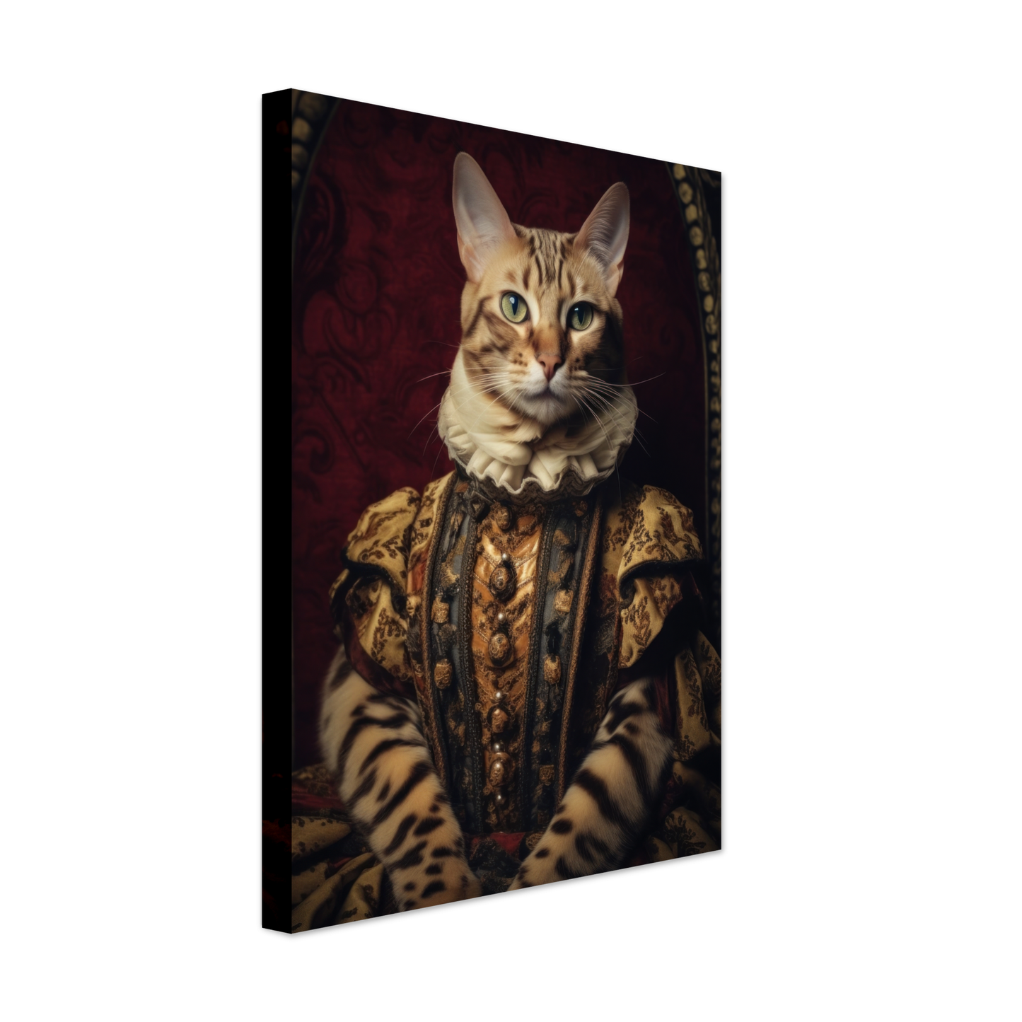 Cat Bengal Renaissance (CAT101)