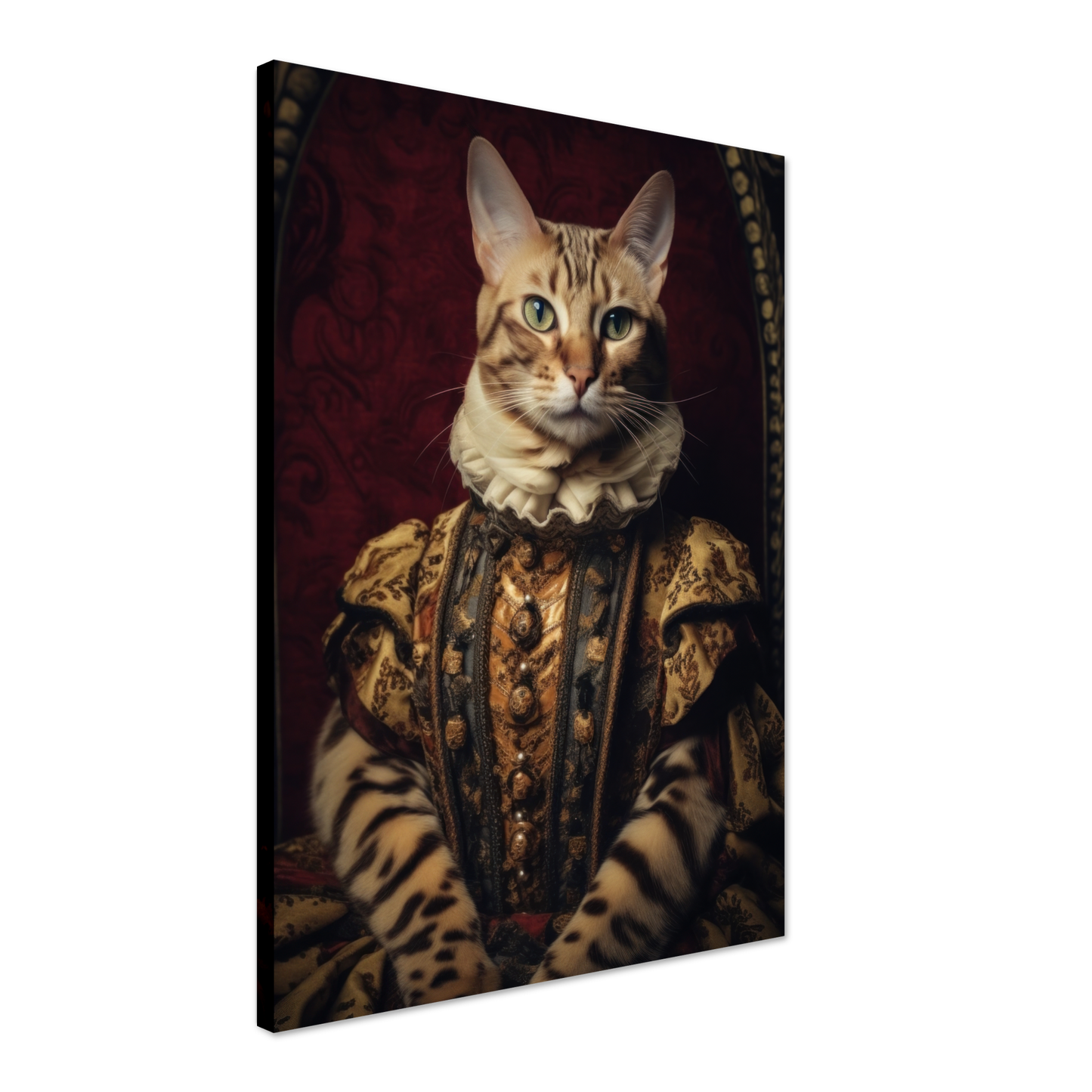 Cat Bengal Renaissance (CAT101)