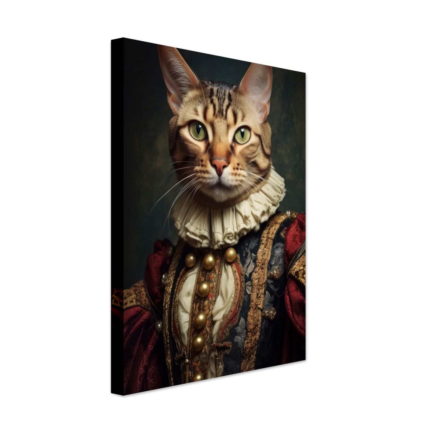 Cat Bengal Renaissance (CAT104)