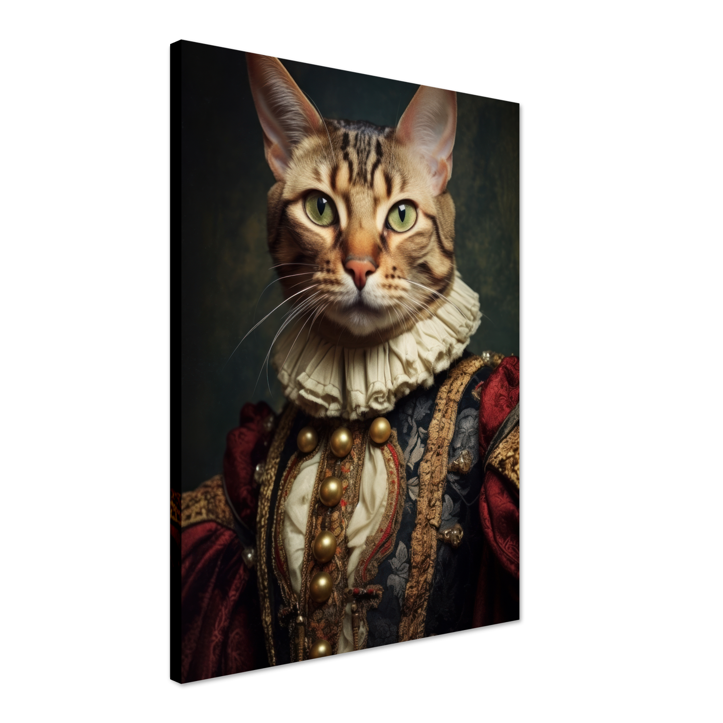 Cat Bengal Renaissance (CAT104)
