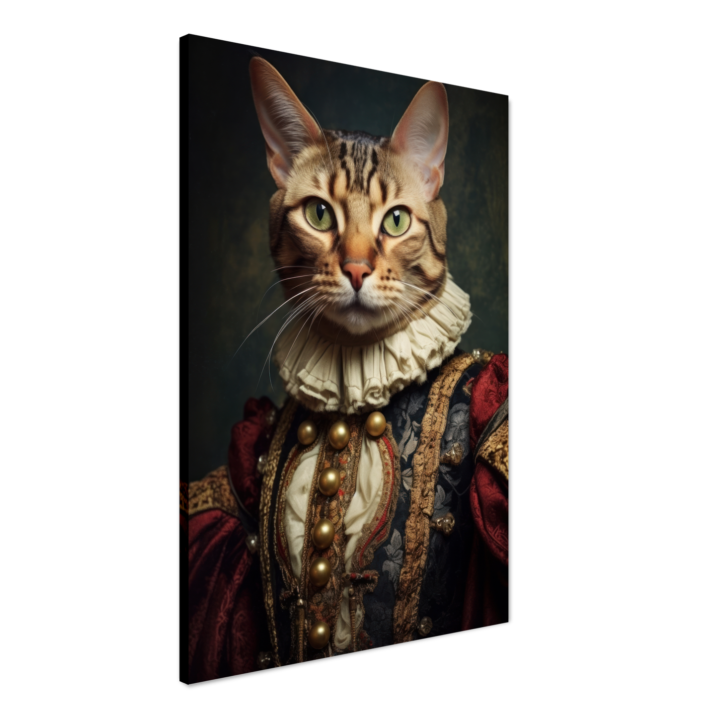 Cat Bengal Renaissance (CAT104)