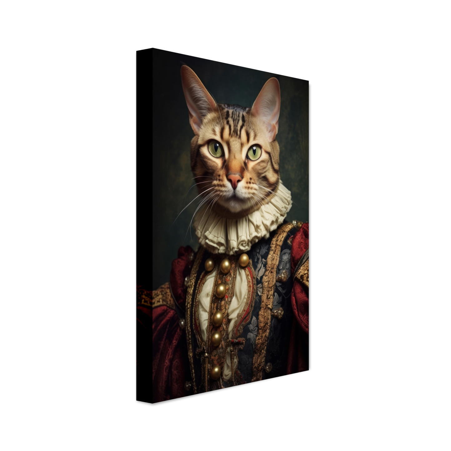 Cat Bengal Renaissance (CAT104)
