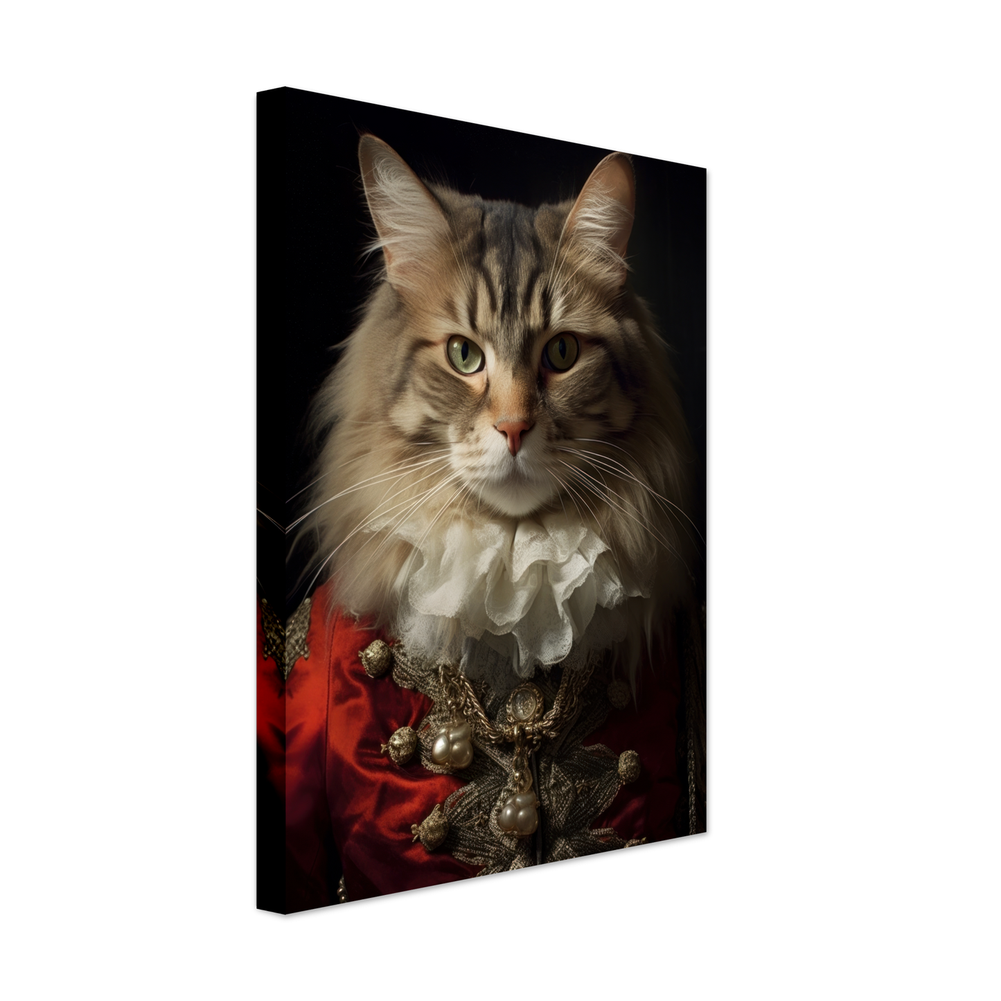 Katze Norwegische Waldkatze Renaissance (CAT111)