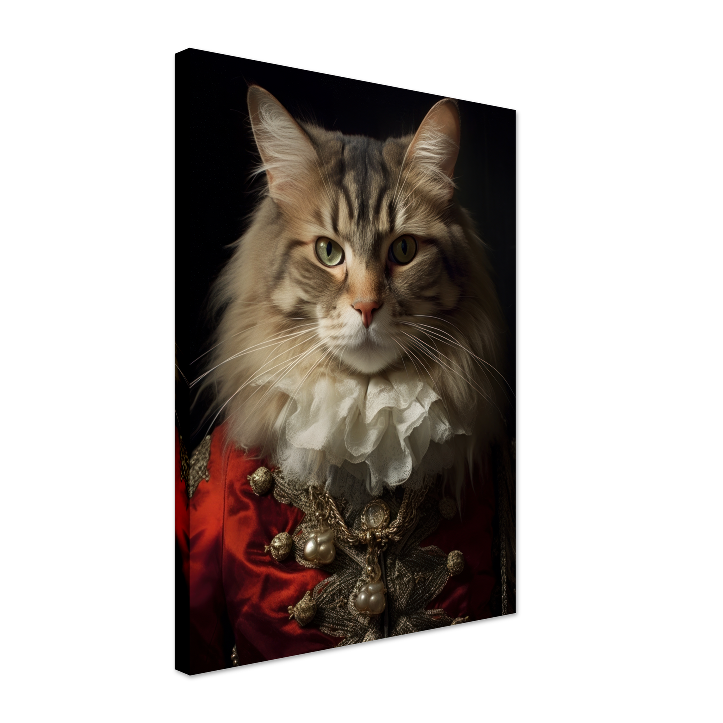 Katze Norwegische Waldkatze Renaissance (CAT111)