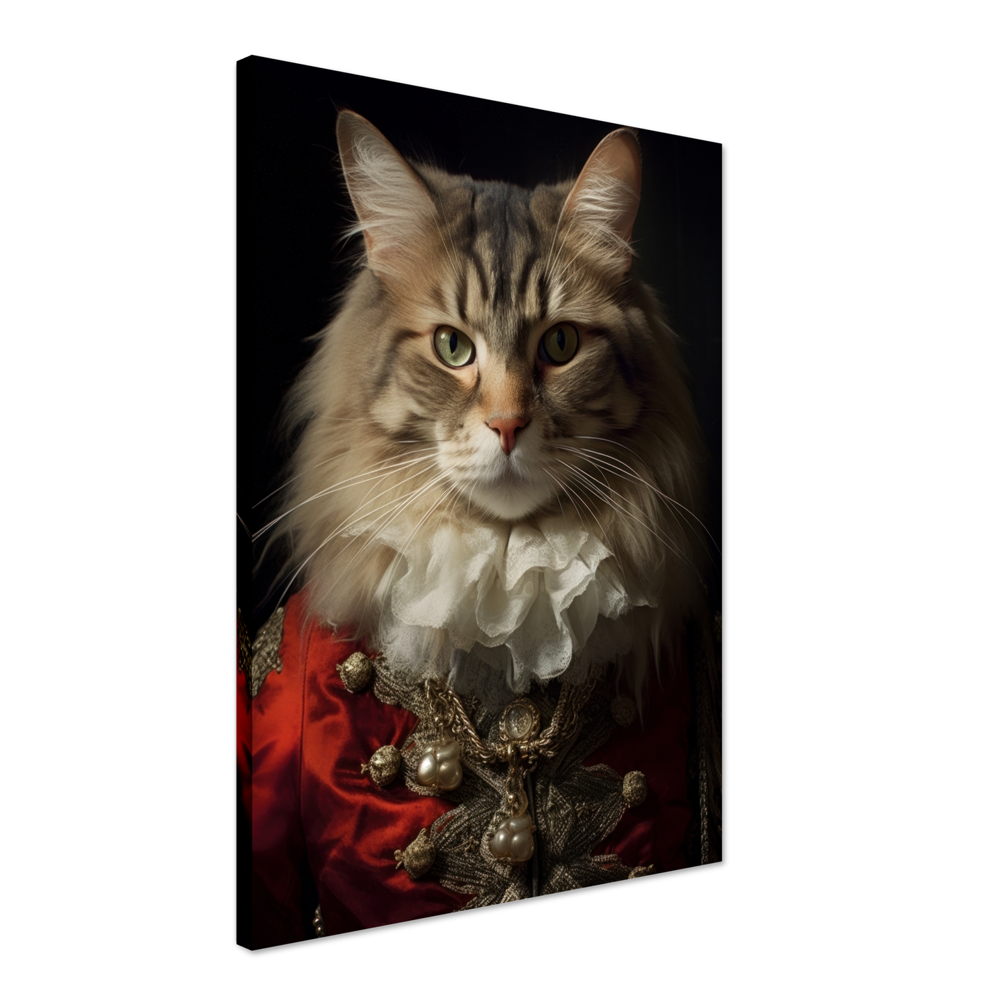 Katze Norwegische Waldkatze Renaissance (CAT111)