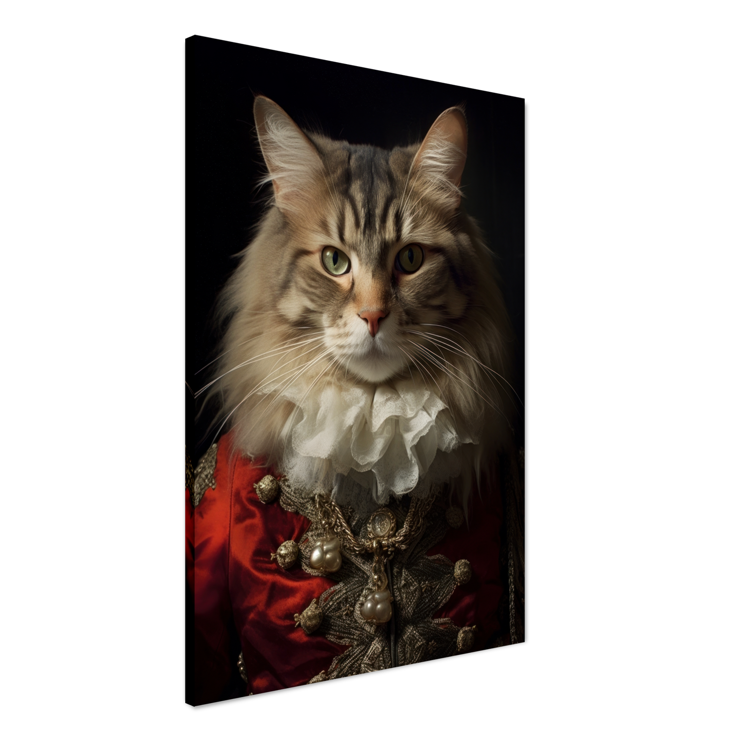 Katze Norwegische Waldkatze Renaissance (CAT111)