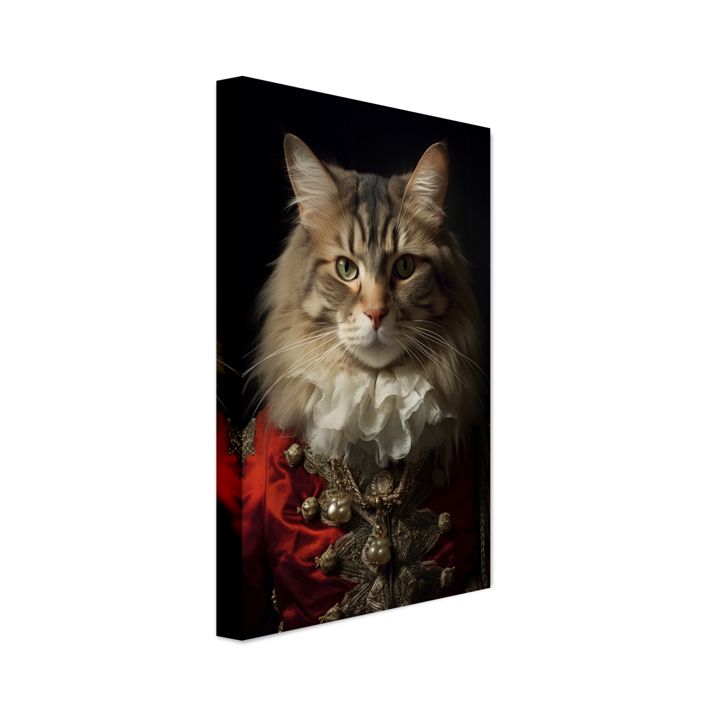 Katze Norwegische Waldkatze Renaissance (CAT111)