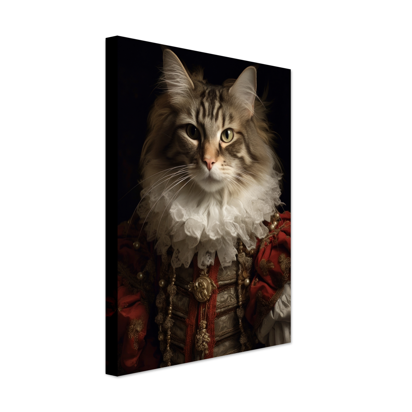 Katze Norwegische Waldkatze Renaissance (CAT112)