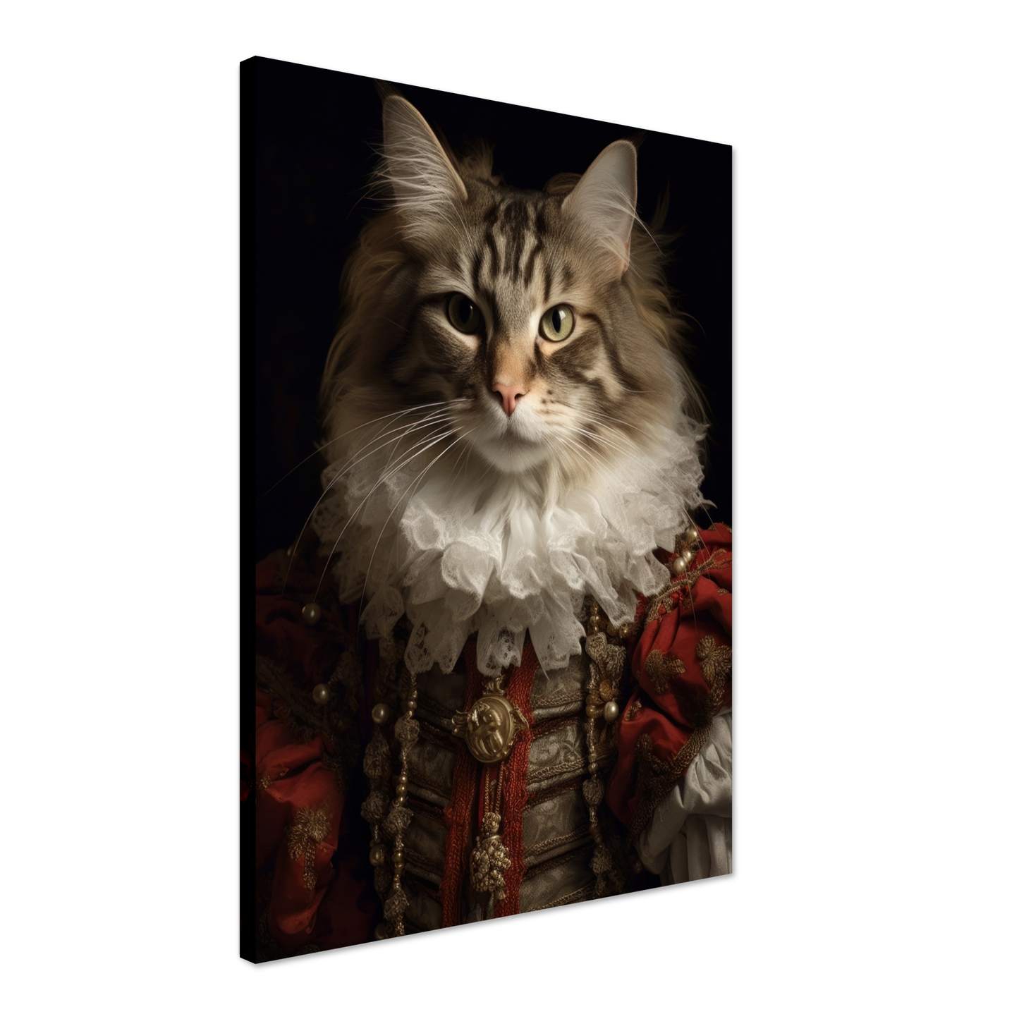 Katze Norwegische Waldkatze Renaissance (CAT112)
