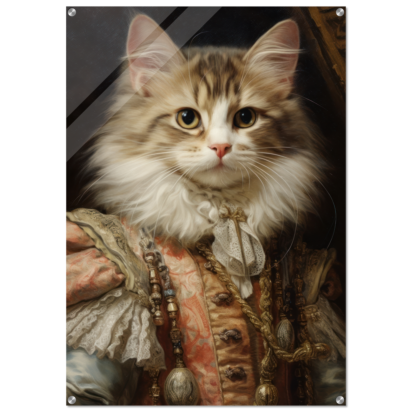 Cat kitten renaissance (CAT123)