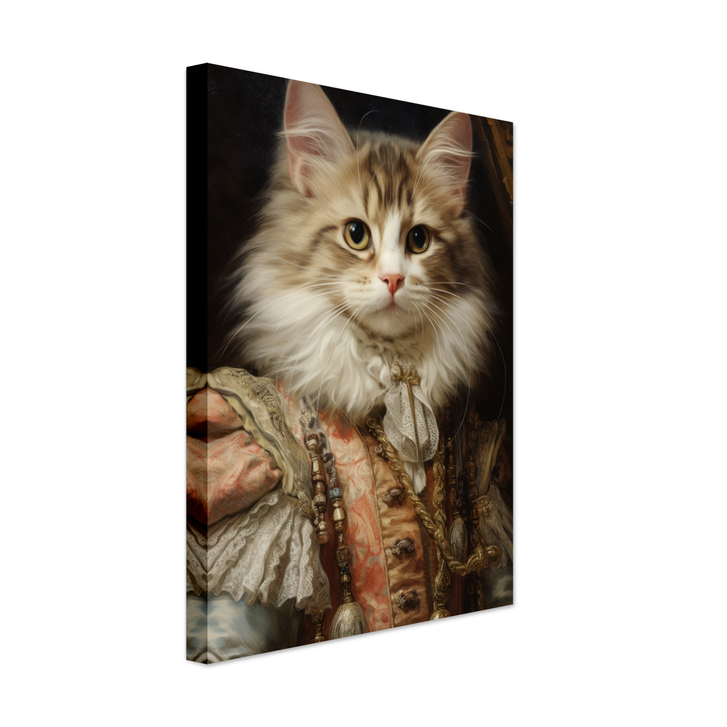 Cat kitten renaissance (CAT123)