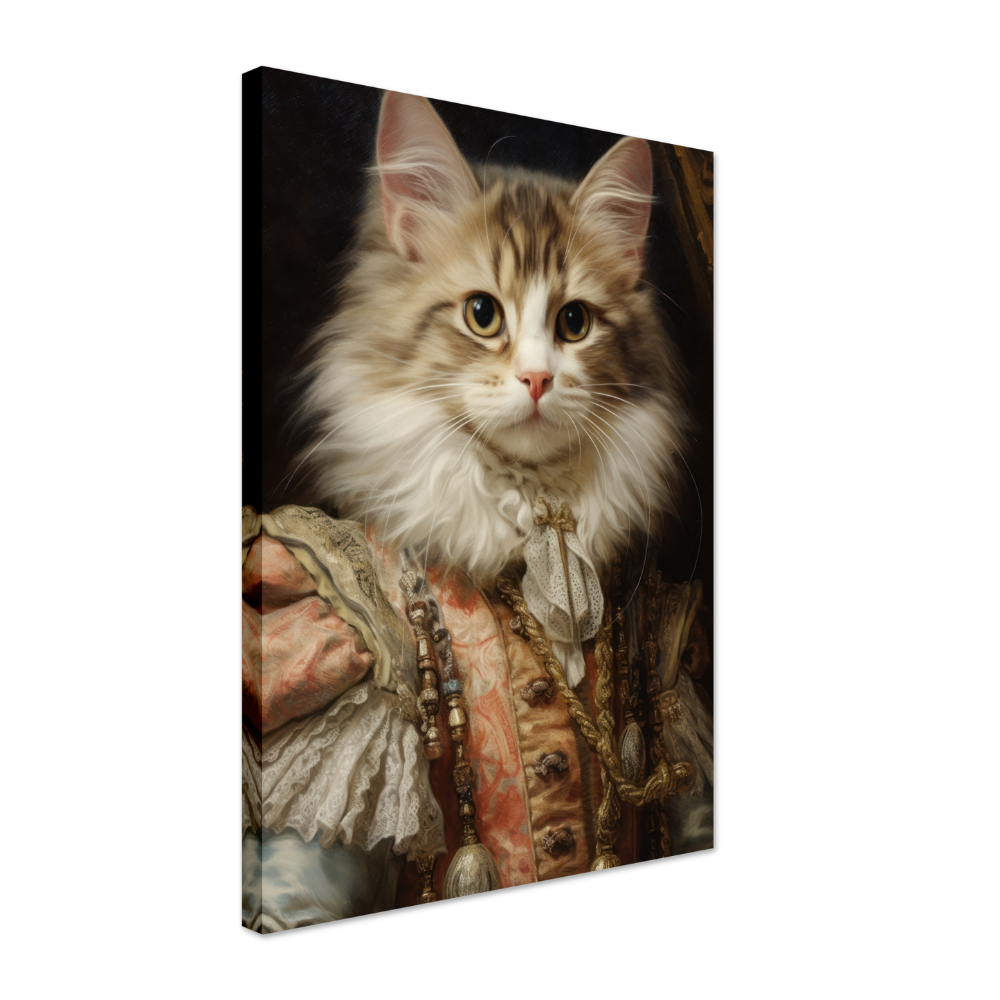 Cat kitten renaissance (CAT123)