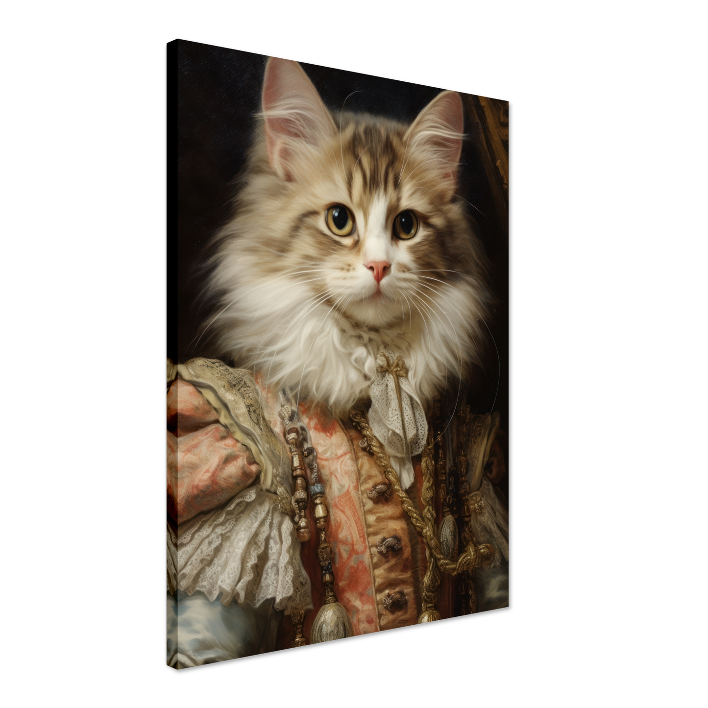 Cat kitten renaissance (CAT123)