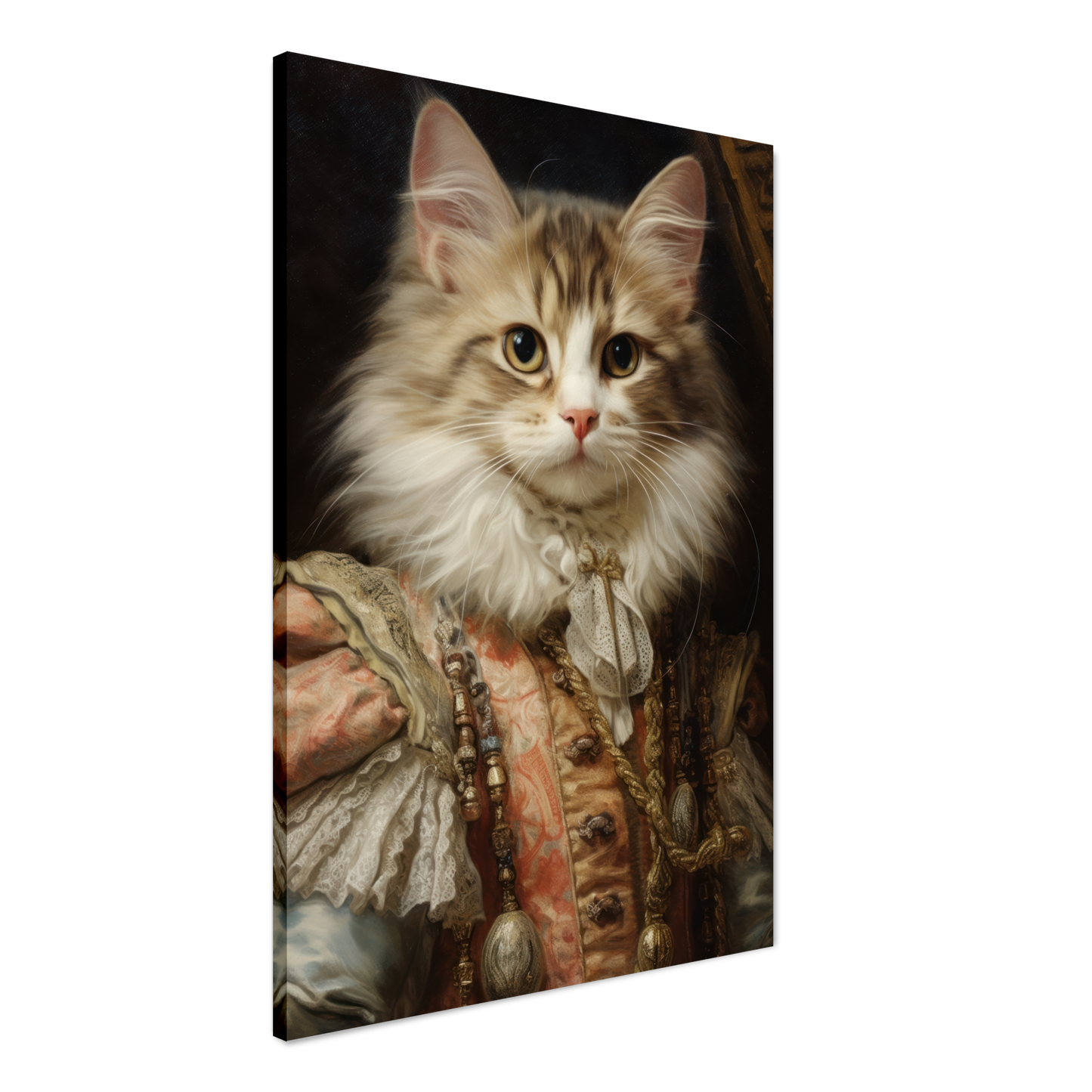 Cat kitten renaissance (CAT123)