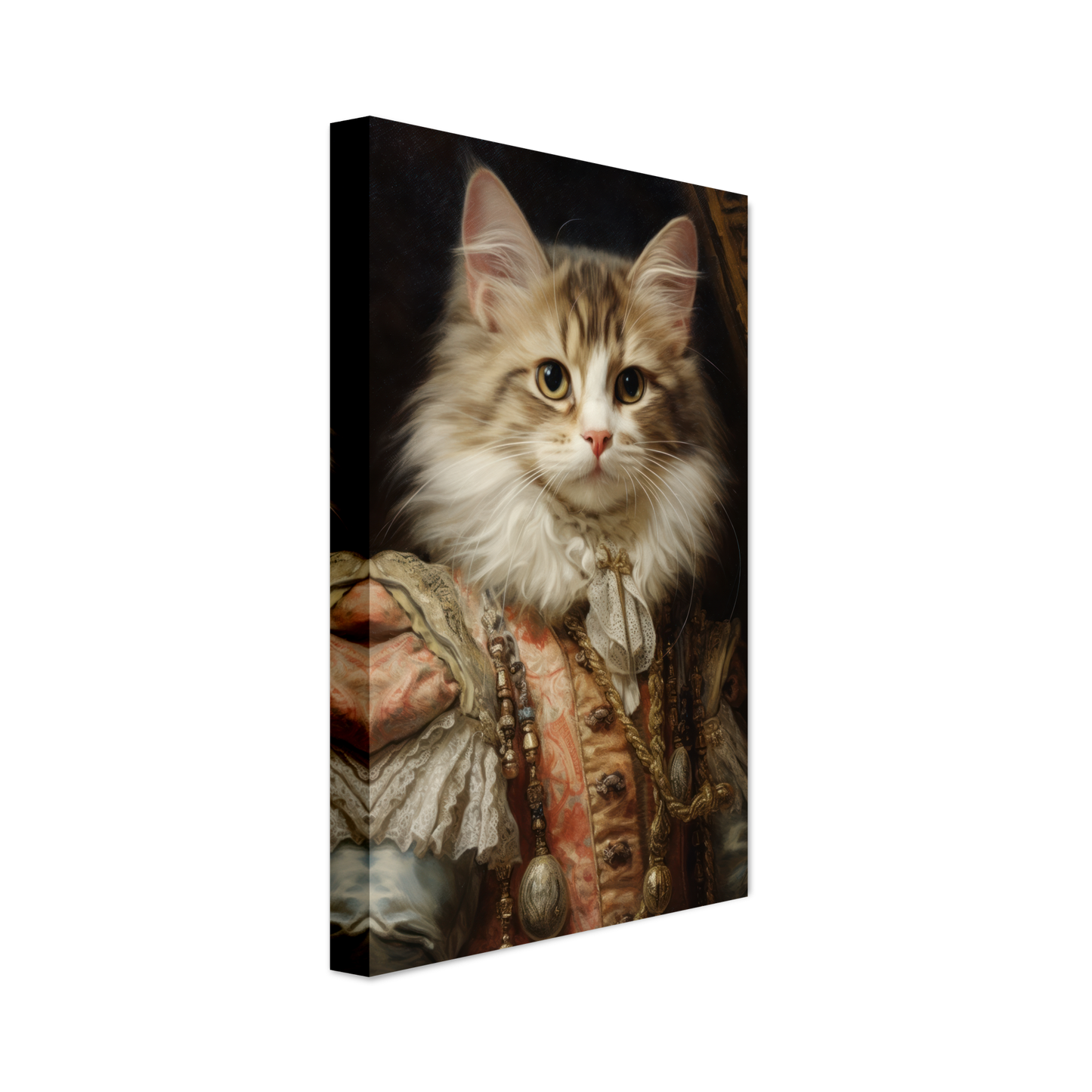 Cat kitten renaissance (CAT123)