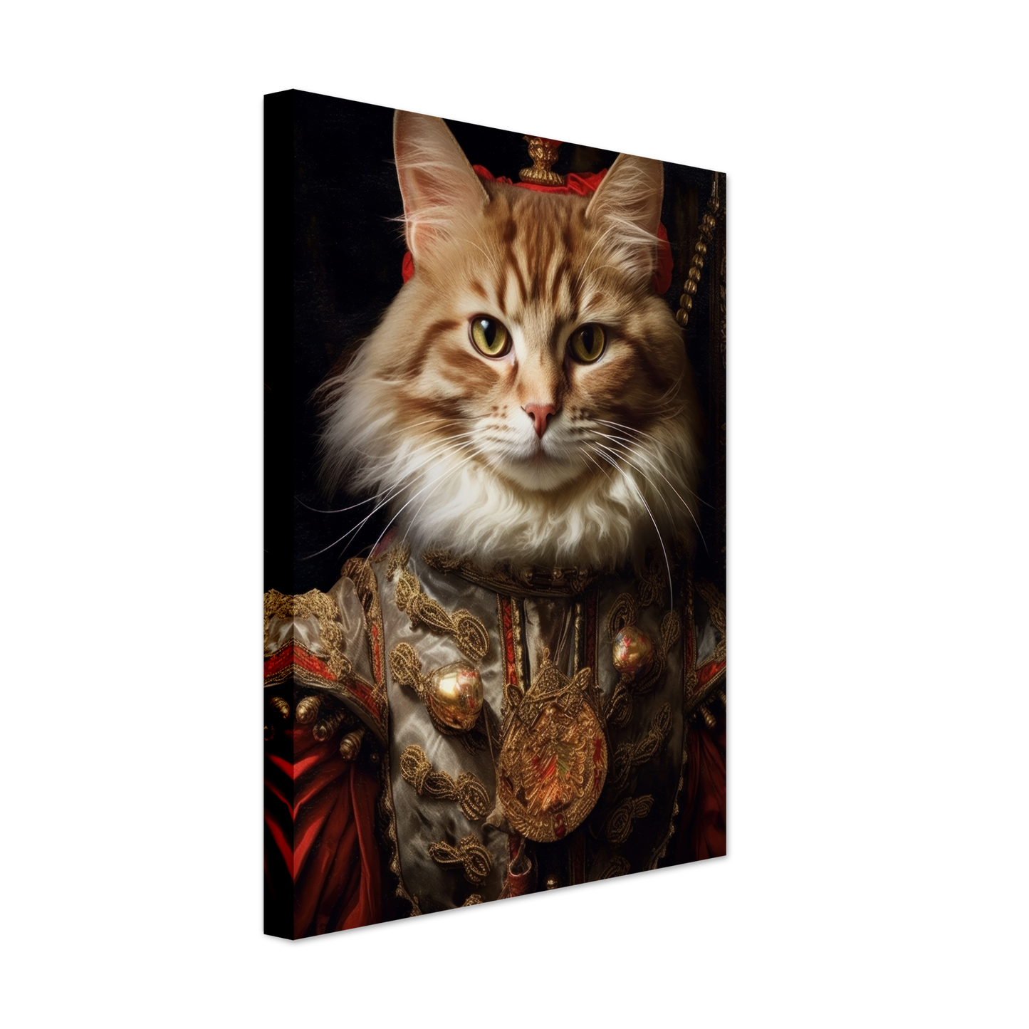 Katze Main Coone Renaissance (CAT125)