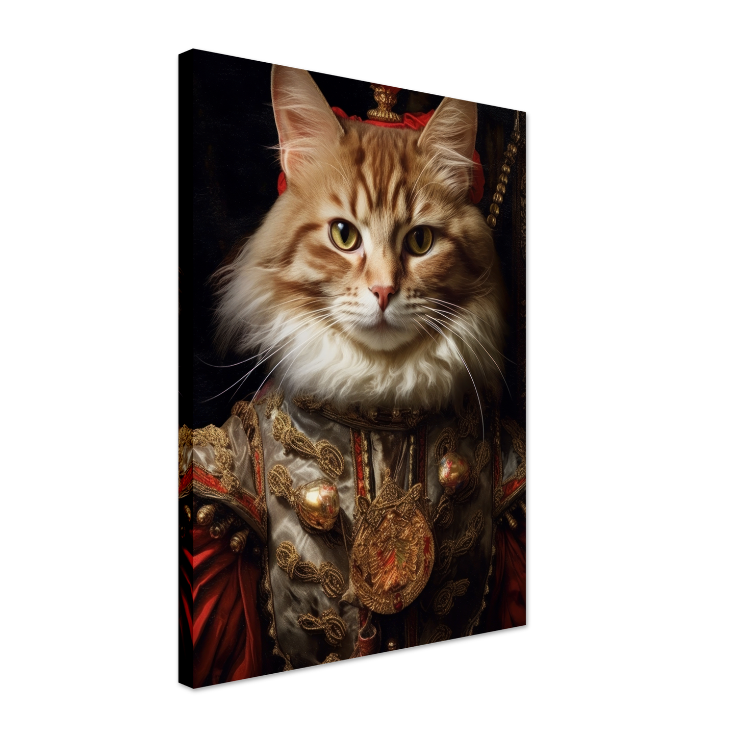 Katze Main Coone Renaissance (CAT125)