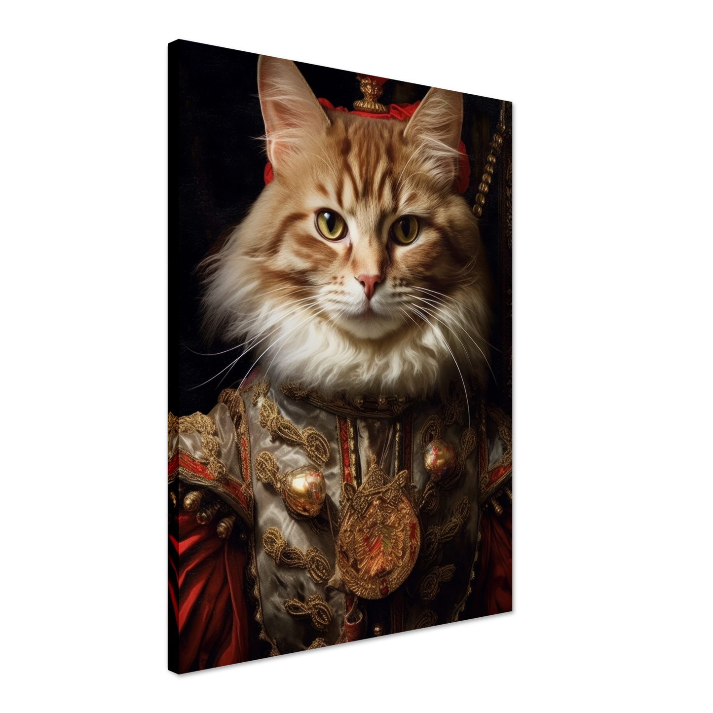 Katze Main Coone Renaissance (CAT125)