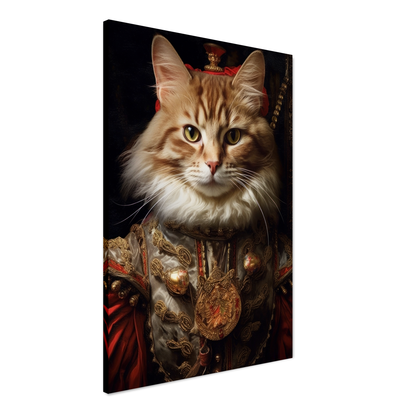 Katze Main Coone Renaissance (CAT125)
