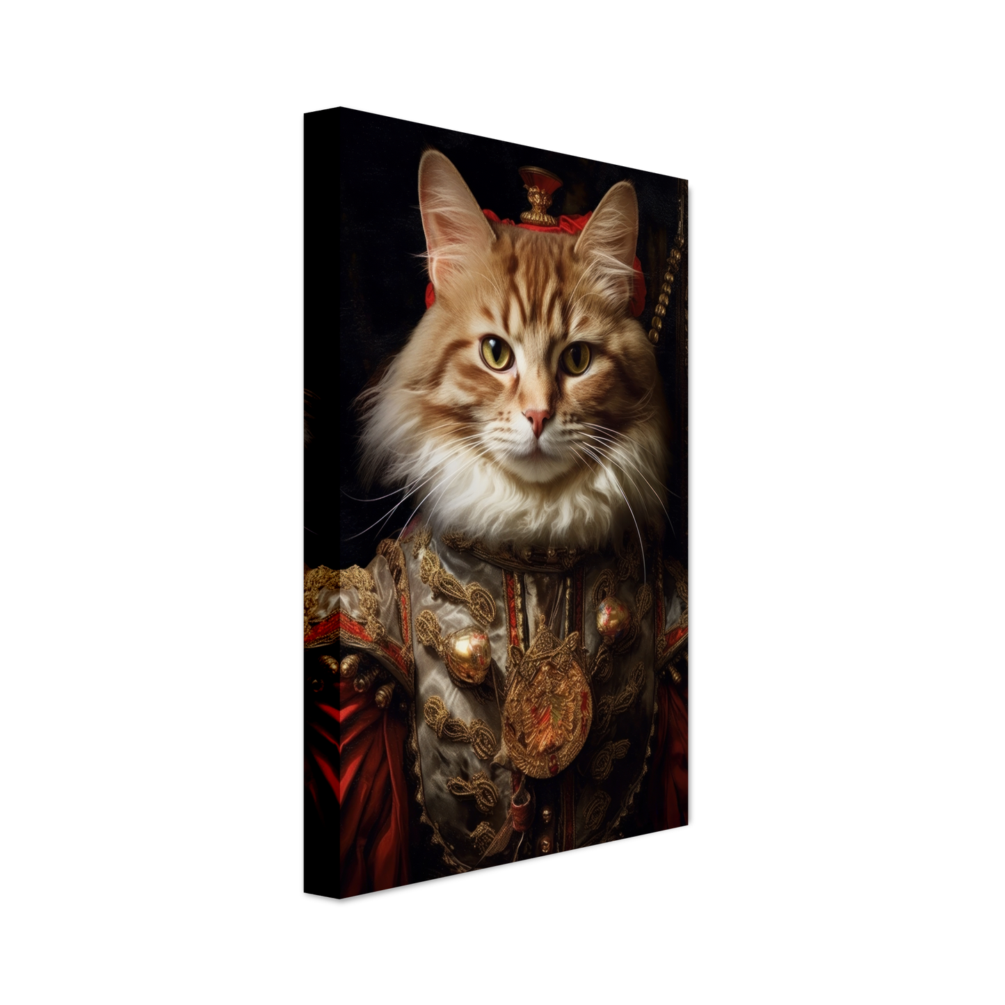 Katze Main Coone Renaissance (CAT125)