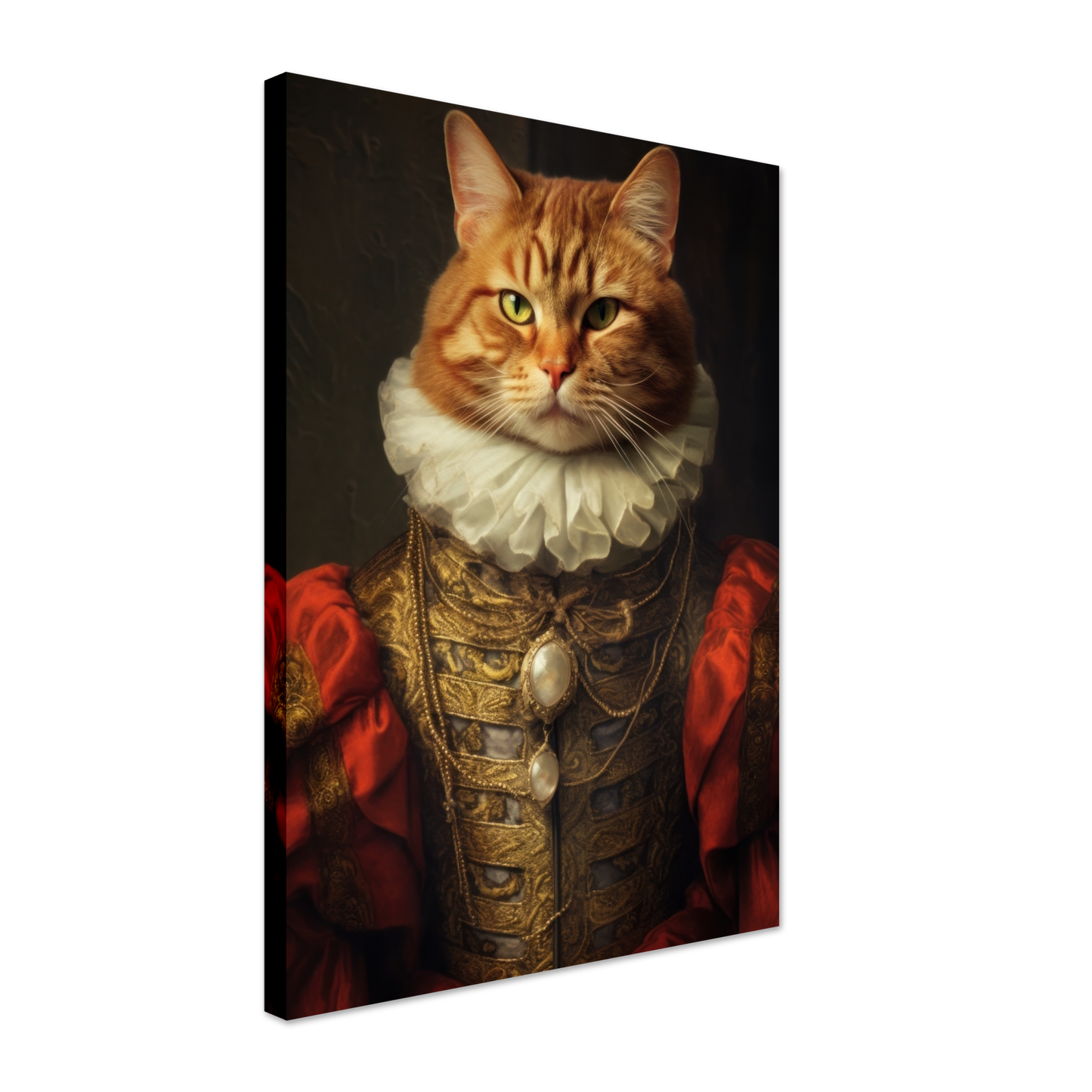 Katze Main Coone Renaissance (CAT126)