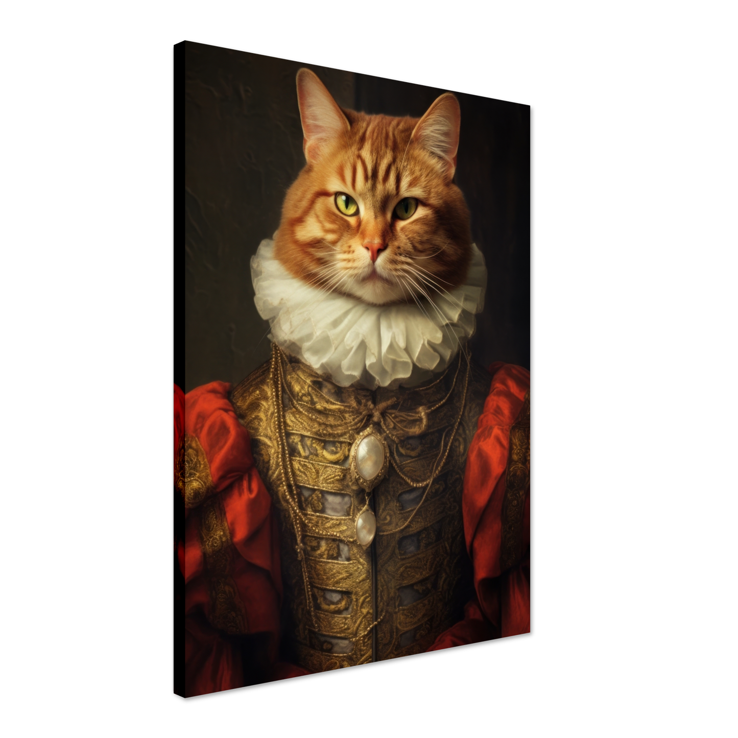 Katze Main Coone Renaissance (CAT126)