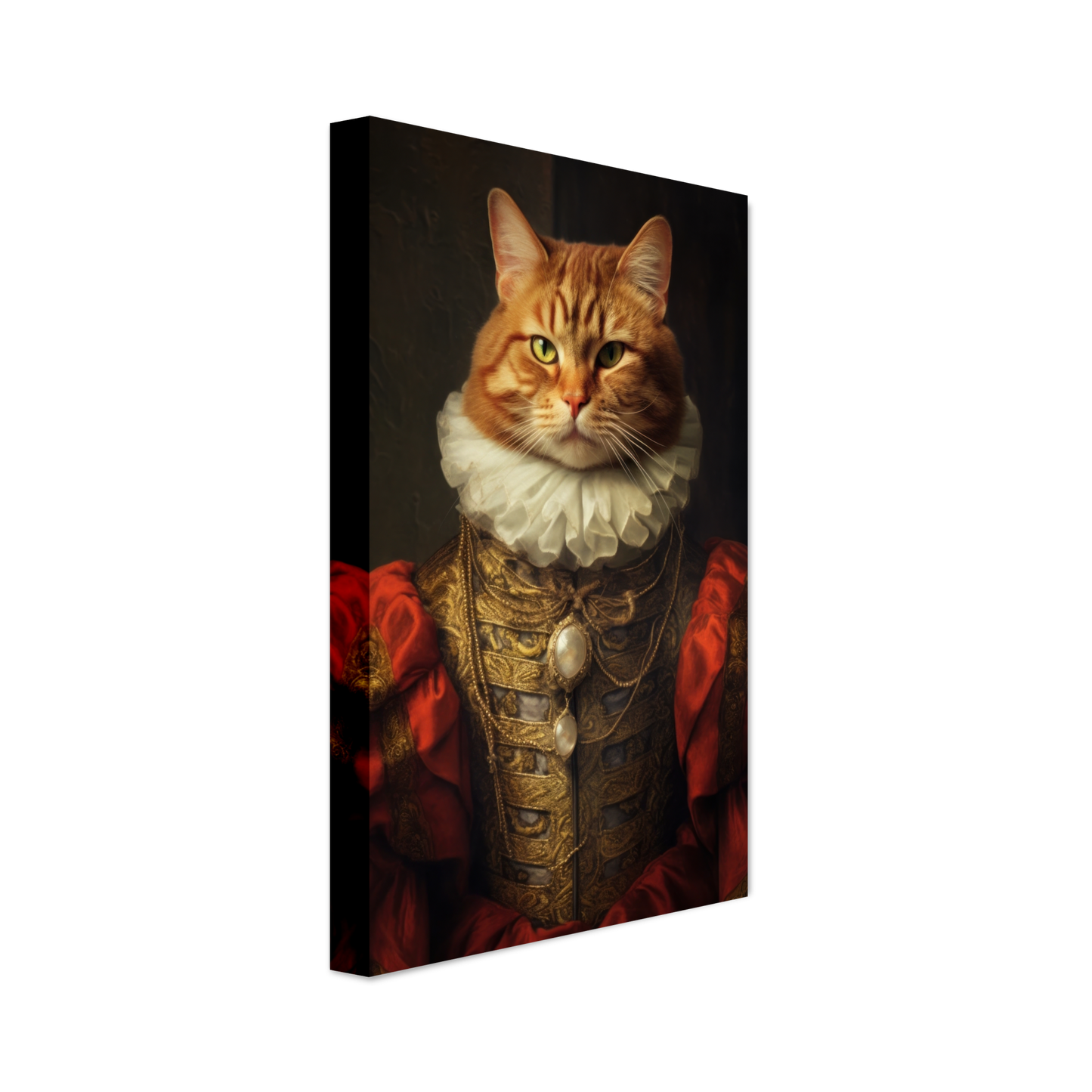 Katze Main Coone Renaissance (CAT126)