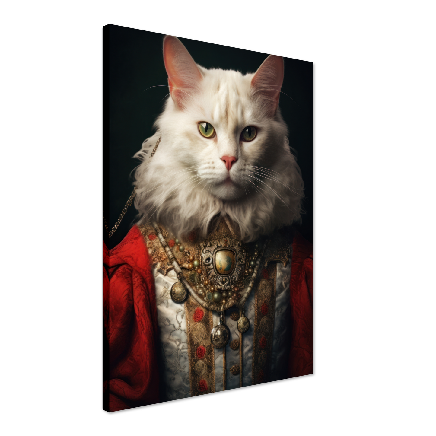 Cat Main Coone Renaissance (CAT127)