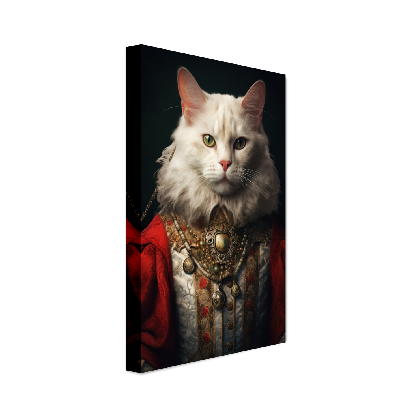 Cat Main Coone Renaissance (CAT127)