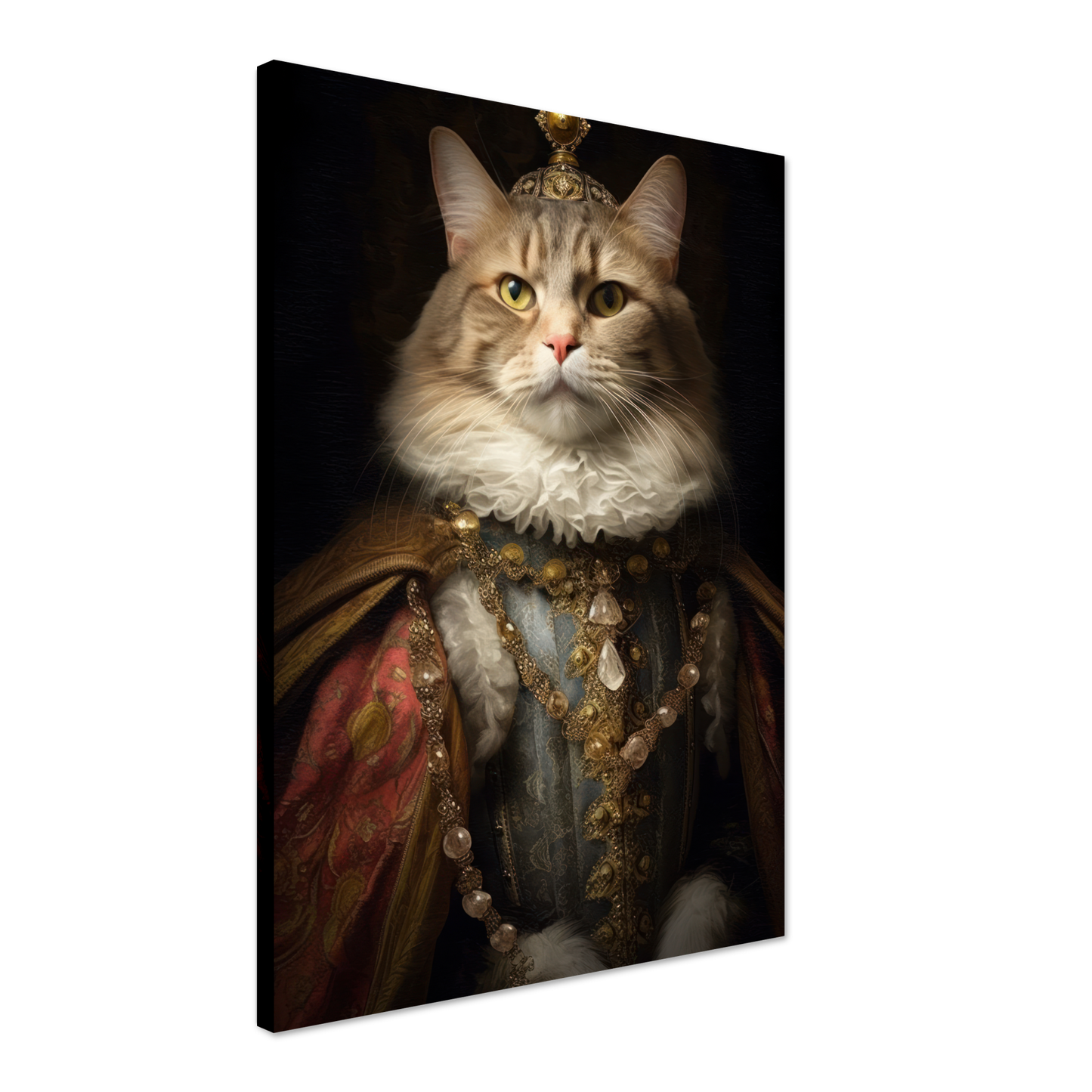 Katze Main Coone Renaissance (CAT128)
