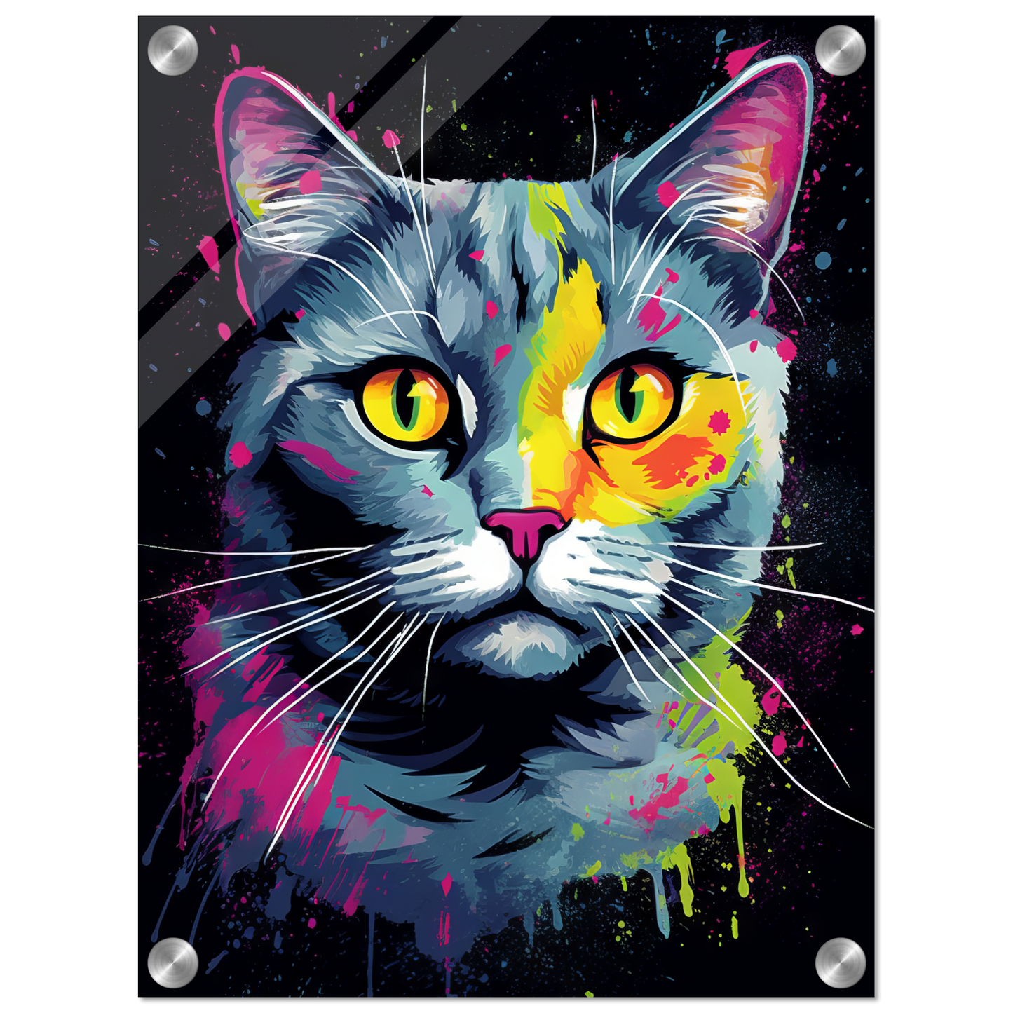Cat British Shorthair (BKH) Pop Art (CAT20)