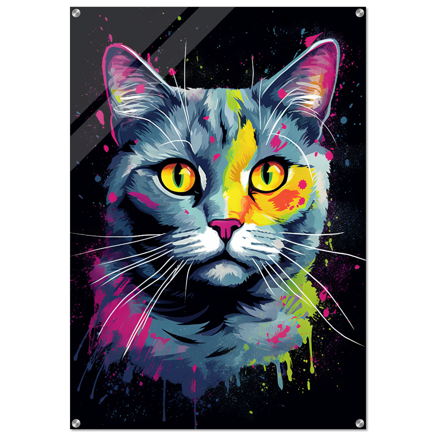 Cat British Shorthair (BKH) Pop Art (CAT20)