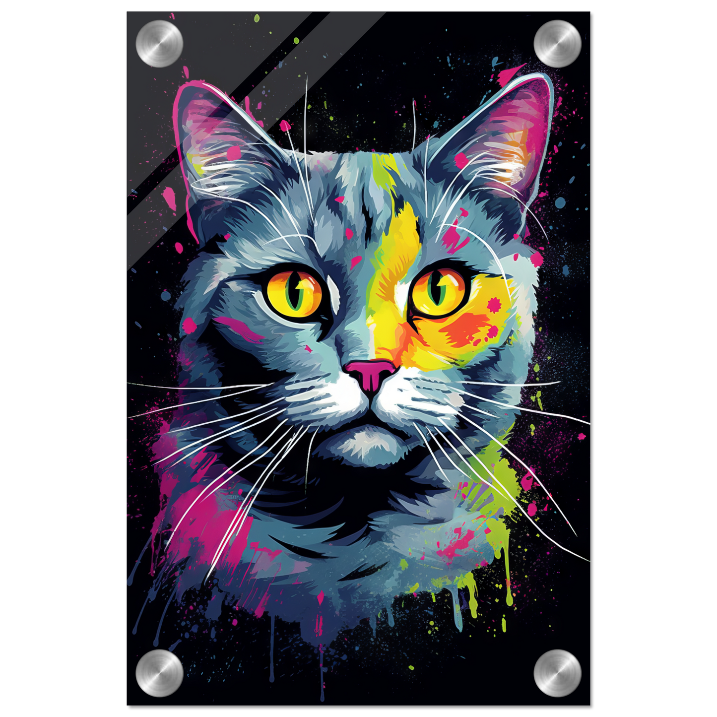 Cat British Shorthair (BKH) Pop Art (CAT20)
