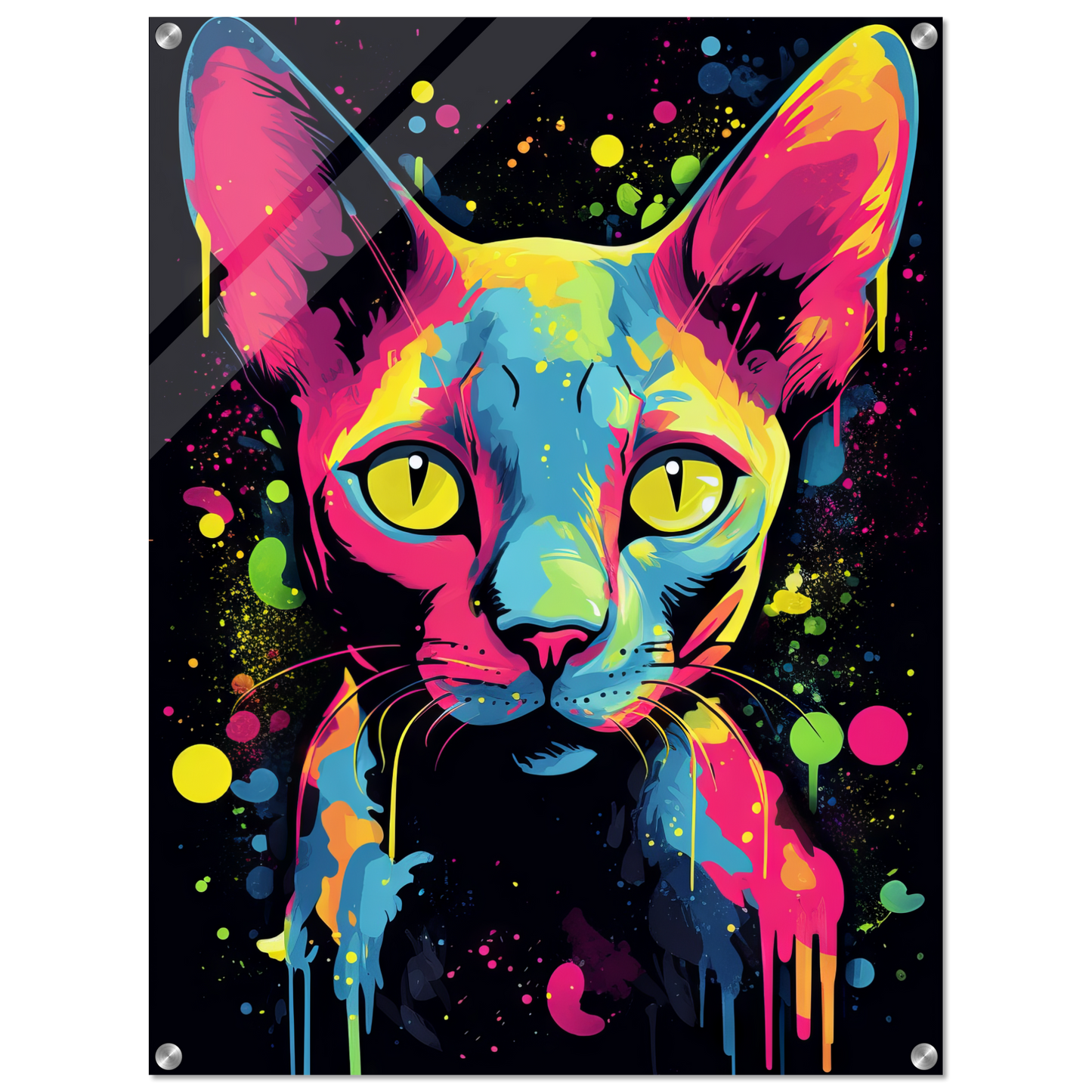 Katze Sphynx Pop-Art (CAT34)