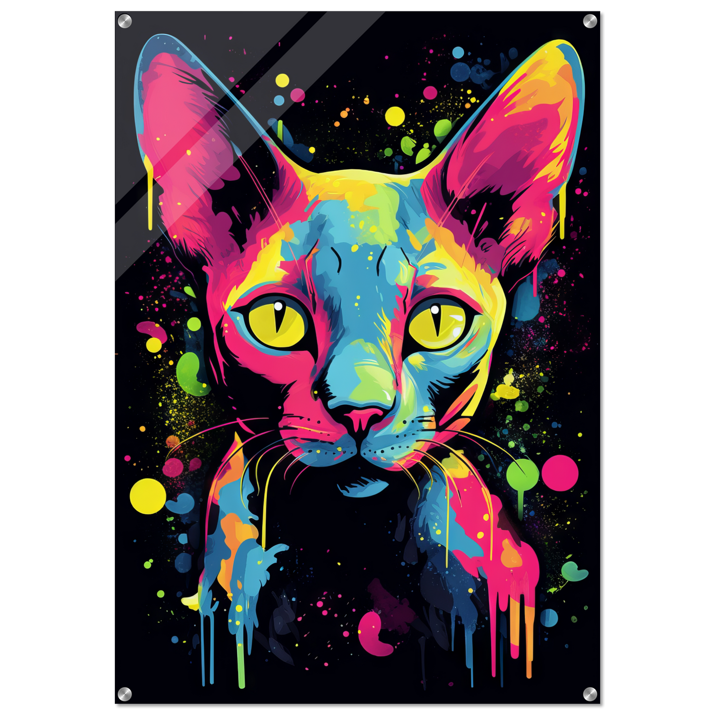 Katze Sphynx Pop-Art (CAT34)