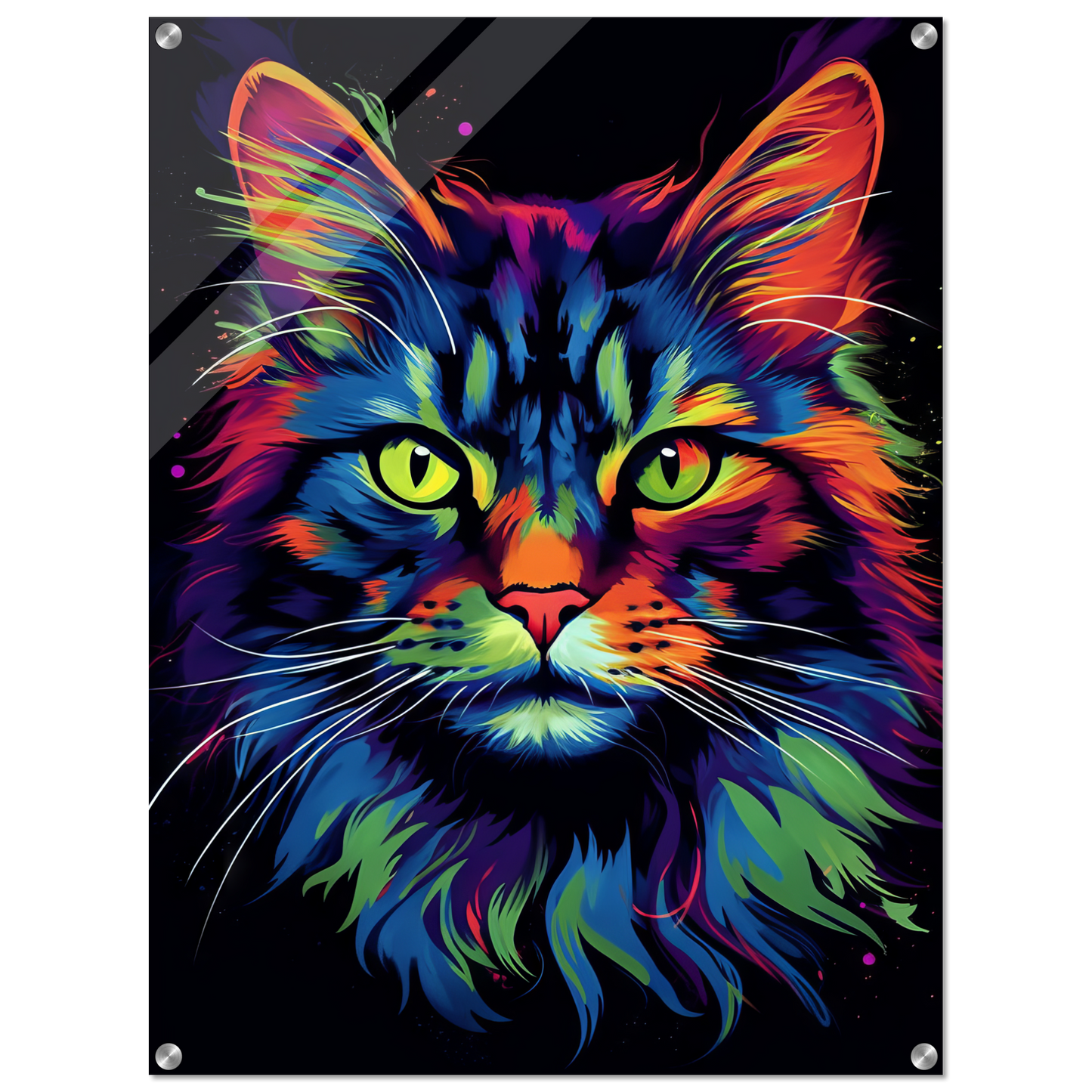 Katze Maine Coon Pop-Art (CAT49)