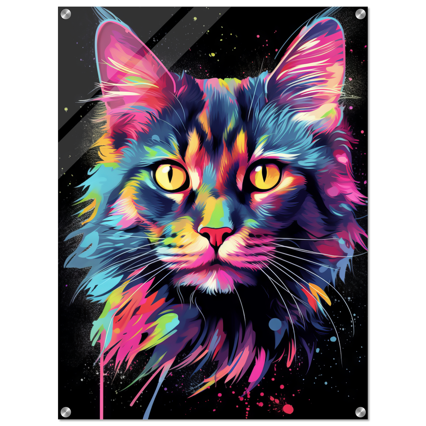 Cat Maine Coon Pop Art (CAT50)
